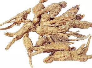 你見(jiàn)過(guò)三七嗎 揭秘三七配天麻 西洋參 當(dāng)歸的神奇功效