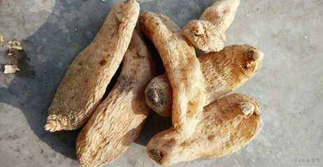 天麻的營養(yǎng)價(jià)值