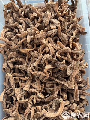 長(zhǎng)白山天麻天然特級(jí)500g1斤