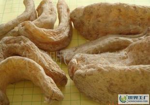 供應產地直供深山優質出口級干天麻!_醫藥、保養_世界工廠網中國產品信息庫