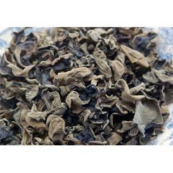 野生天麻供應 秦嶺山脈農(nóng)產(chǎn)品經(jīng)濟實惠 東陽市野生天麻